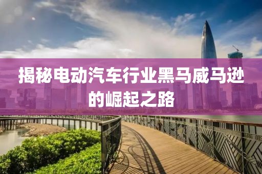 揭秘电动汽车行业黑马威马逊的崛起之路