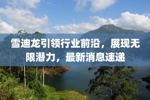 雪迪龙引领行业前沿，展现无限潜力，最新消息速递