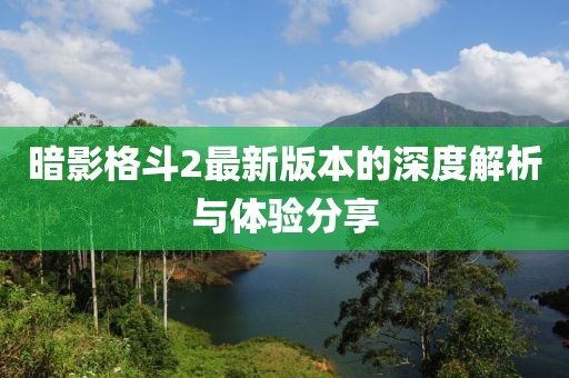 暗影格斗2最新版本的深度解析与体验分享