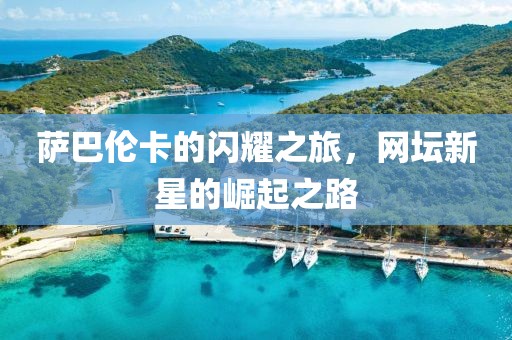 萨巴伦卡的闪耀之旅，网坛新星的崛起之路