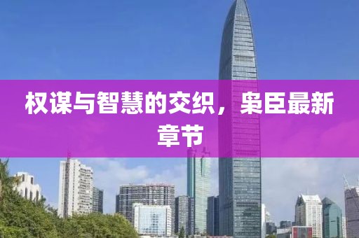 权谋与智慧的交织，枭臣最新章节