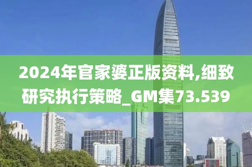 2024年官家婆正版资料,细致研究执行策略_GM集73.539