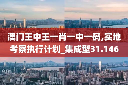 澳门王中王一肖一中一码,实地考察执行计划_集成型31.146