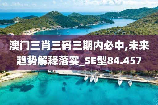 澳门三肖三码三期内必中,未来趋势解释落实_SE型84.457
