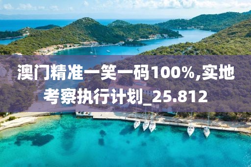 澳门精准一笑一码100%,实地考察执行计划_25.812