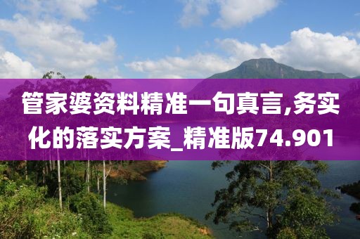 管家婆资料精准一句真言,务实化的落实方案_精准版74.901