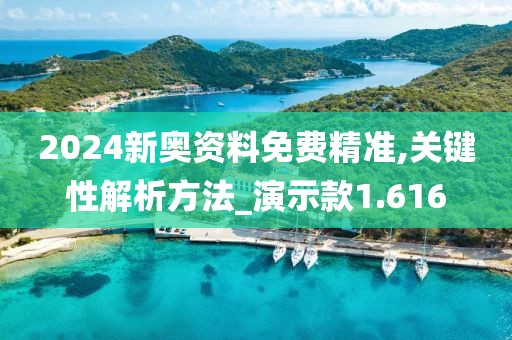 2024新奥资料免费精准,关键性解析方法_演示款1.616