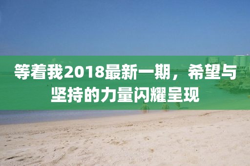等着我2018最新一期，希望与坚持的力量闪耀呈现