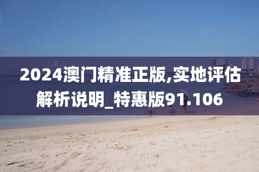 2024澳门精准正版,实地评估解析说明_特惠版91.106