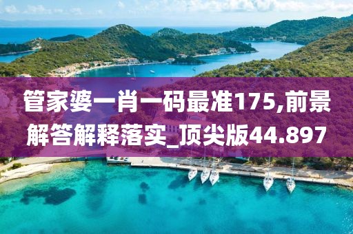 管家婆一肖一码最准175,前景解答解释落实_顶尖版44.897
