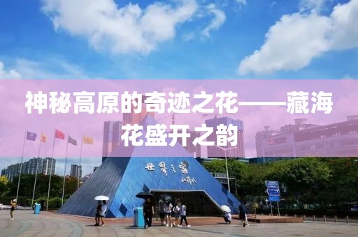 神秘高原的奇迹之花——藏海花盛开之韵