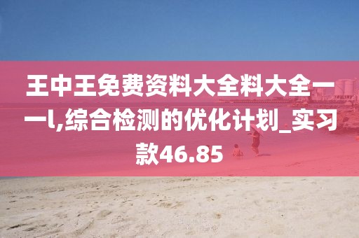 王中王免费资料大全料大全一一l,综合检测的优化计划_实习款46.85