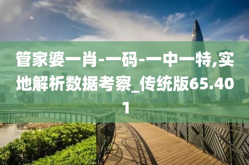 管家婆一肖-一码-一中一特,实地解析数据考察_传统版65.401