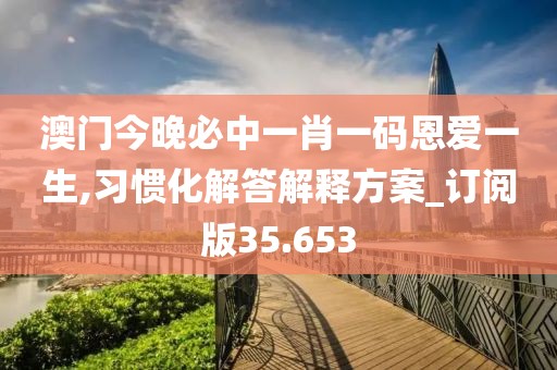 澳门今晚必中一肖一码恩爱一生,习惯化解答解释方案_订阅版35.653