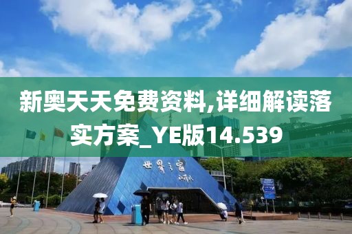 新奥天天免费资料,详细解读落实方案_YE版14.539