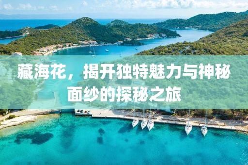 藏海花，揭开独特魅力与神秘面纱的探秘之旅