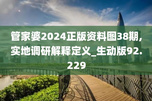 管家婆2024正版资料图38期,实地调研解释定义_生动版92.229