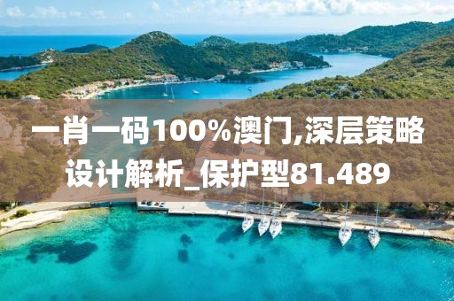 一肖一码100%澳门,深层策略设计解析_保护型81.489