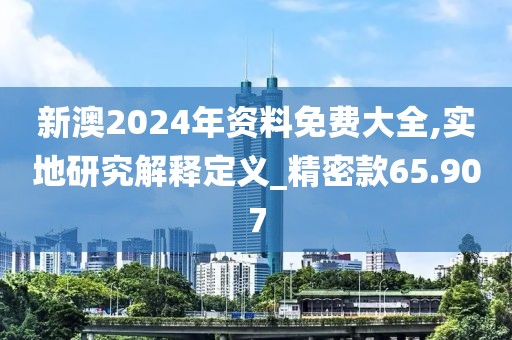新澳2024年资料免费大全,实地研究解释定义_精密款65.907
