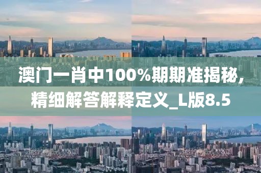 澳门一肖中100%期期准揭秘,精细解答解释定义_L版8.5