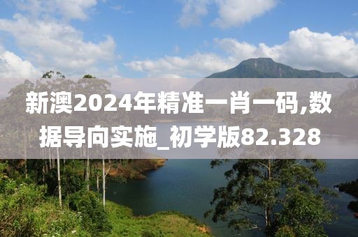 新澳2024年精准一肖一码,数据导向实施_初学版82.328