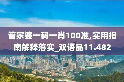 管家婆一码一肖100准,实用指南解释落实_双语品11.482