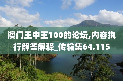澳门王中王100的论坛,内容执行解答解释_传输集64.115