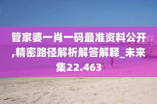 管家婆一肖一码最准资料公开,精密路径解析解答解释_未来集22.463