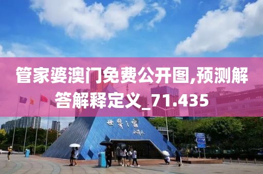 管家婆澳门免费公开图,预测解答解释定义_71.435