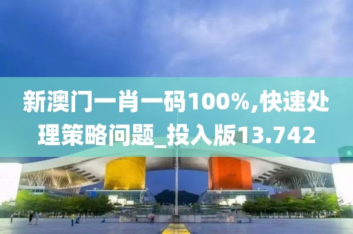 新澳门一肖一码100%,快速处理策略问题_投入版13.742