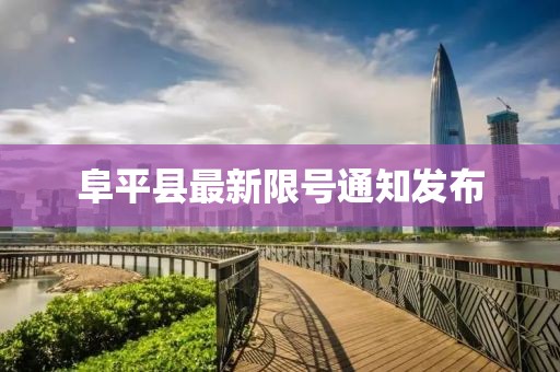 一段浮生 第56页