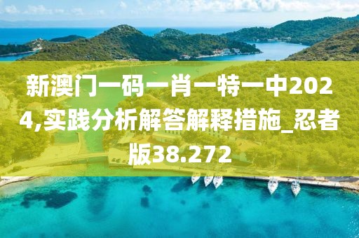 新澳门一码一肖一特一中2024,实践分析解答解释措施_忍者版38.272