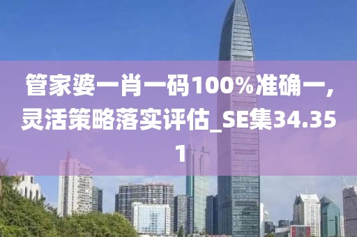 管家婆一肖一码100%准确一,灵活策略落实评估_SE集34.351