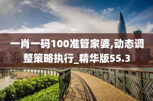 一肖一码100准管家婆,动态调整策略执行_精华版55.3