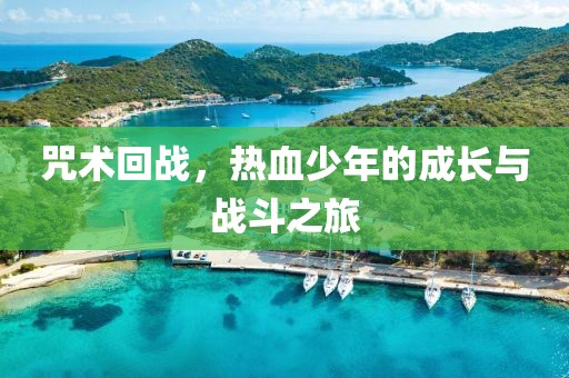 咒术回战，热血少年的成长与战斗之旅