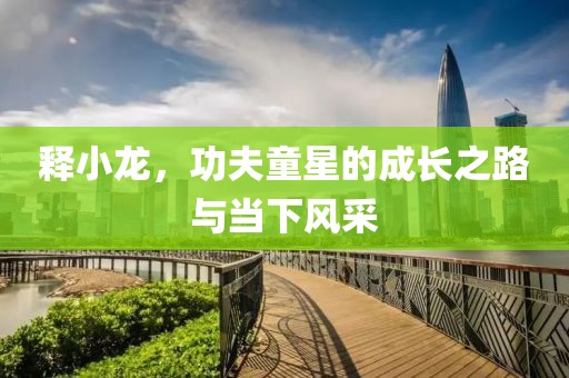 释小龙，功夫童星的成长之路与当下风采