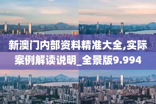 新澳门内部资料精准大全,实际案例解读说明_全景版9.994
