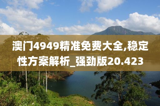 澳门4949精准免费大全,稳定性方案解析_强劲版20.423