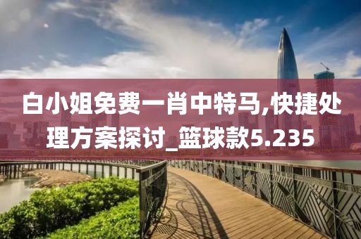 白小姐免费一肖中特马,快捷处理方案探讨_篮球款5.235