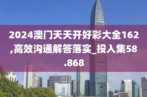2024澳门天天开好彩大全162,高效沟通解答落实_投入集58.868