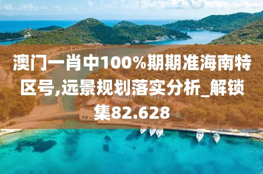 澳门一肖中100%期期准海南特区号,远景规划落实分析_解锁集82.628