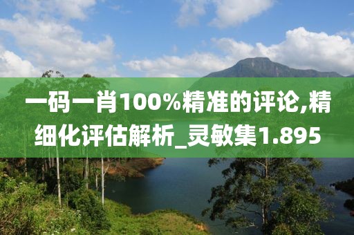 一码一肖100%精准的评论,精细化评估解析_灵敏集1.895