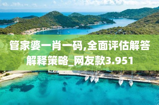 管家婆一肖一码,全面评估解答解释策略_网友款3.951