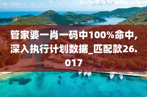 管家婆一肖一码中100%命中,深入执行计划数据_匹配款26.017