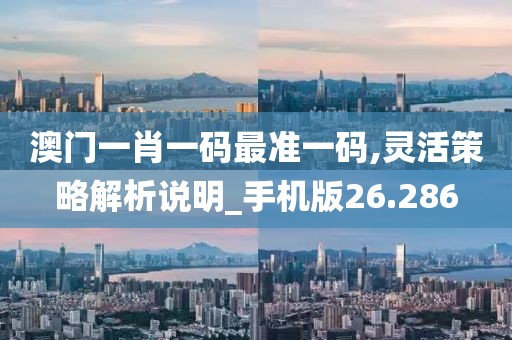 澳门一肖一码最准一码,灵活策略解析说明_手机版26.286