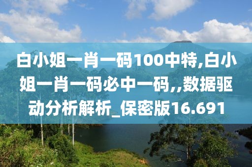 白小姐一肖一码100中特,白小姐一肖一码必中一码,,数据驱动分析解析_保密版16.691