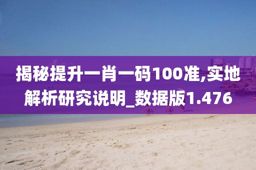 揭秘提升一肖一码100准,实地解析研究说明_数据版1.476