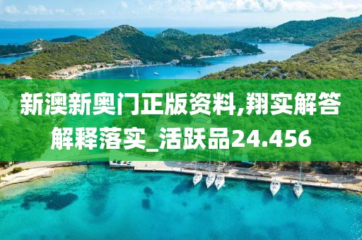 新澳新奥门正版资料,翔实解答解释落实_活跃品24.456