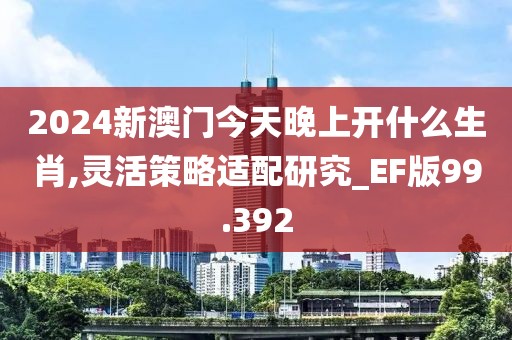 2024新澳门今天晚上开什么生肖,灵活策略适配研究_EF版99.392