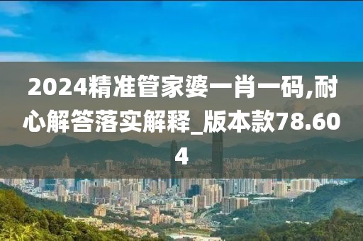 2024精准管家婆一肖一码,耐心解答落实解释_版本款78.604